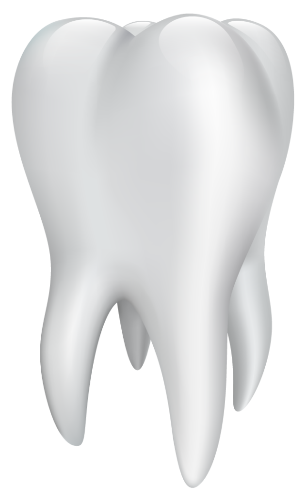 FifthAvenueDentalAnokaMNTooth Fifth Avenue Dental